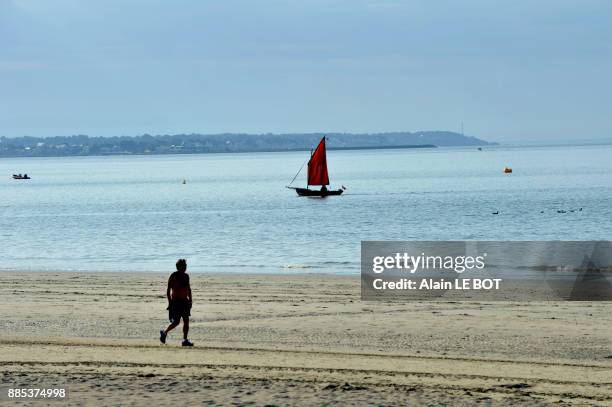 france, pays de la loire region, loire-atlantique department, beach and ship cruising in bay of la baule, pornichet in the background. - biomedical animation stock pictures, royalty-free photos & images