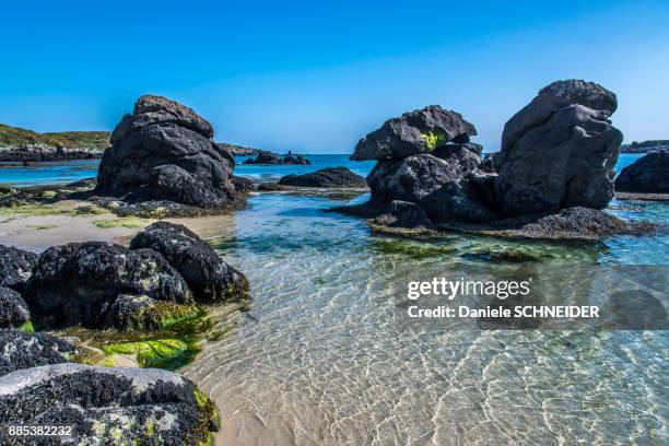 normandy, manche, the grande ile chausey, rocks on the homard port beach - homard stock pictures, royalty-free photos & images