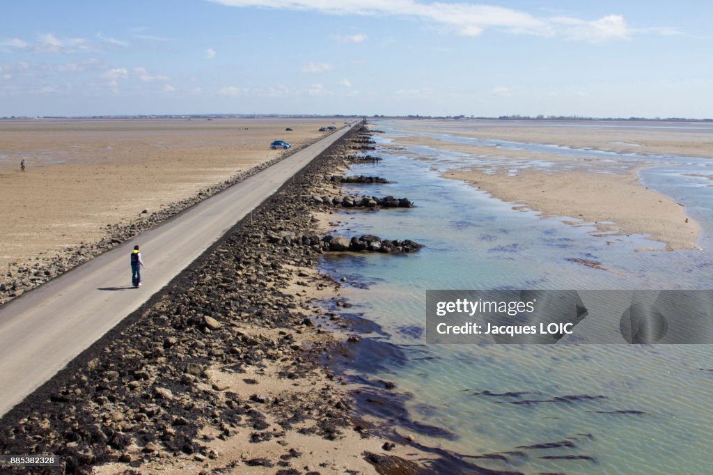 France, Vendee, le Passage du Gois, submersible road leading to the island of Noirmoutier, at low tide.