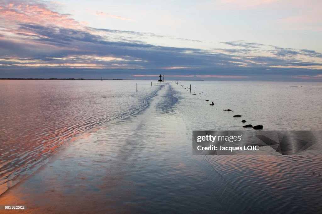 France, Vendee, Passage du Mois, passable road at low tide.