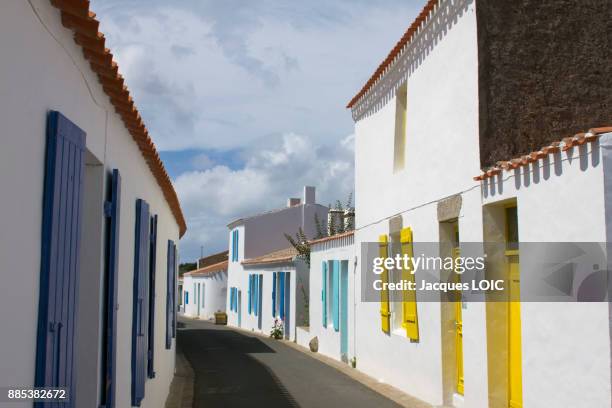 france, you island, a street in saint-sauveur. - vendée photos et images de collection