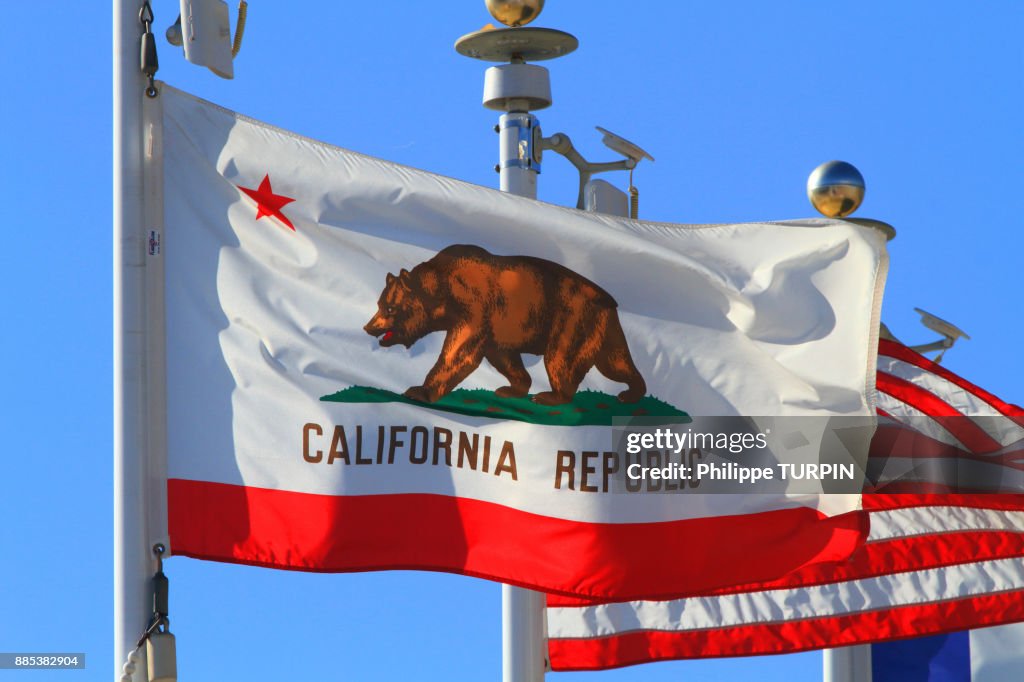USA, California, San Diego, California Rebublic flag