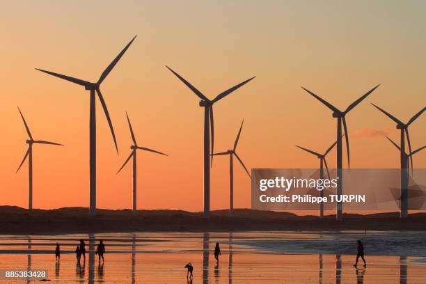 brasil, ceara, icaraizinho de amontada. power mils. - brazil ocean stock pictures, royalty-free photos & images