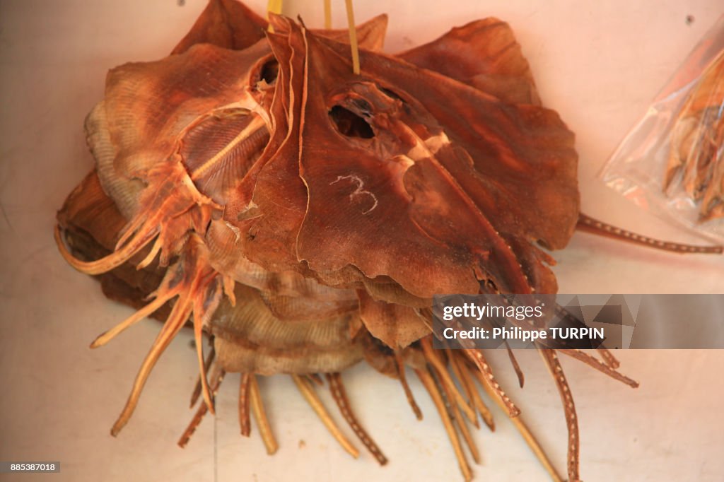 South Korea, Busan. Fish Market. Jagalchi Market. Ray