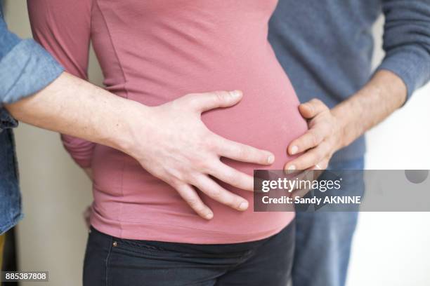 two hands of different people on the belly of a pregnant woman. - surrogacy stock pictures, royalty-free photos & images