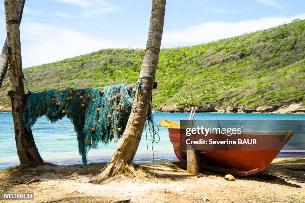 fishing boat and its net, hope bay, bequia, saint-vincent et les grenadines, west indies - saint vincent e grenadine foto e immagini stock