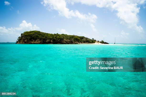baradals island, reserve, tobago cays, saint-vincent and the grenadines, west indies - tobago cays stock pictures, royalty-free photos & images