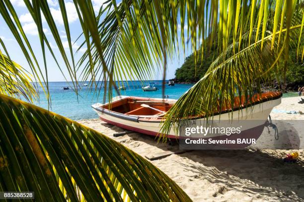 fishing boat, bourg des anses darlet, martinique, france - martinique beach stock pictures, royalty-free photos & images