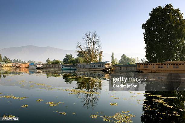 houseboats on dal lake, srinagar - dal lake 個照片及圖片檔