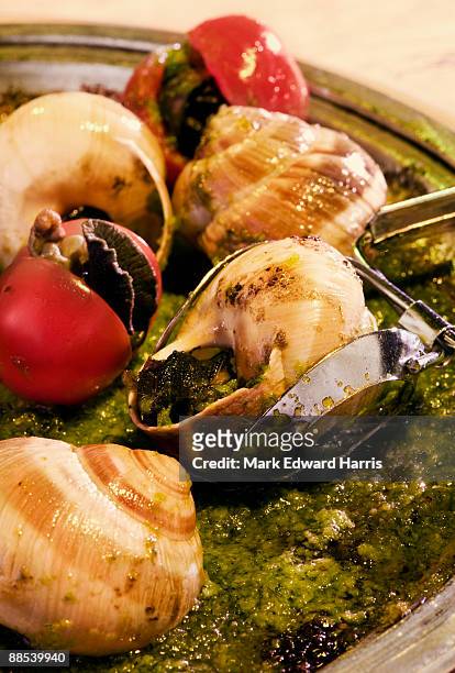 escargot being served - isla de san martín fotografías e imágenes de stock