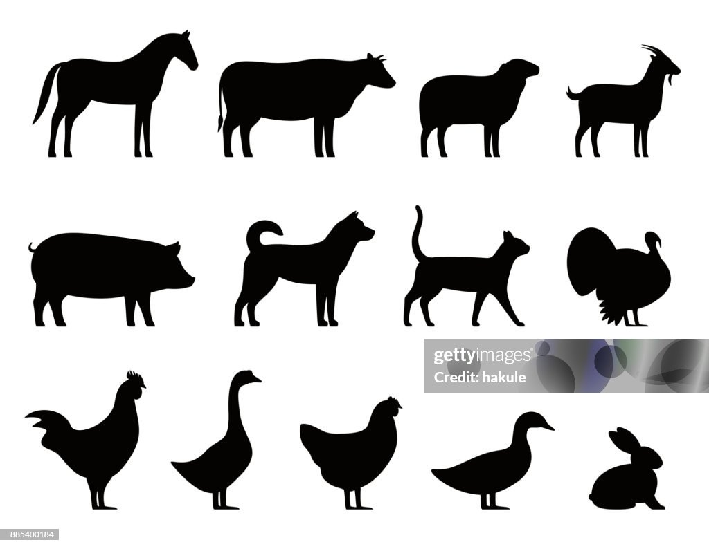 Negro de animales de granja ilustración de vector de iconos conjunto, ganado,