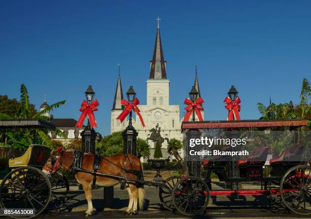 路易斯安那州新奧爾良的聖路易斯大教堂在傑克遜��廣場 - new orleans christmas 個照片及圖片檔