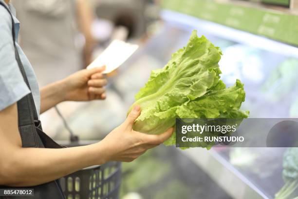 woman shopping for fresh vegetables - alface-de-folha-vermelha - fotografias e filmes do acervo
