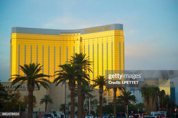 las vegas - mandalay bay resort casino stockfoto's en -beelden