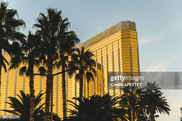 las vegas - mandalay bay resort casino stockfoto's en -beelden