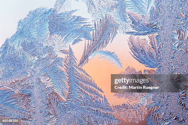 frost on window - cristal de hielo fotografías e imágenes de stock