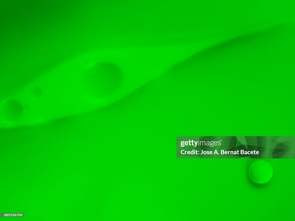 Full frame of abstract shapes and textures of circular green bubbles formed on a light green background