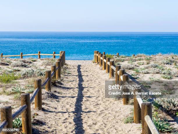 path of sand that he leads to the beach between dunes with flowers and grasses with posts of wood, a day of the sun and blue sky. beach de las salinas del cabo de gata, cabo de gata - nijar natural park,  almeria,  andalusia, spain - cabo de gata fotografías e imágenes de stock