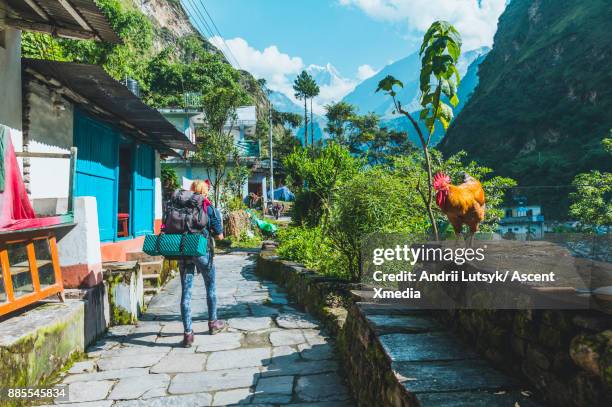 young woman follows pathway through village - annapurna schutzgebietprojekt stock-fotos und bilder