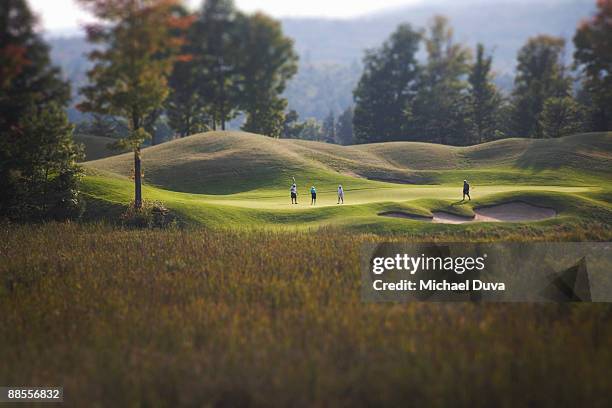 golfers golfing on a golf course - golfbana bildbanksfoton och bilder