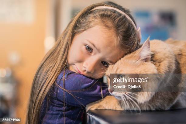 junges mädchen und ihre maine coon katze auf den besuch beim tierarzt. - girls cuddling cat stock-fotos und bilder