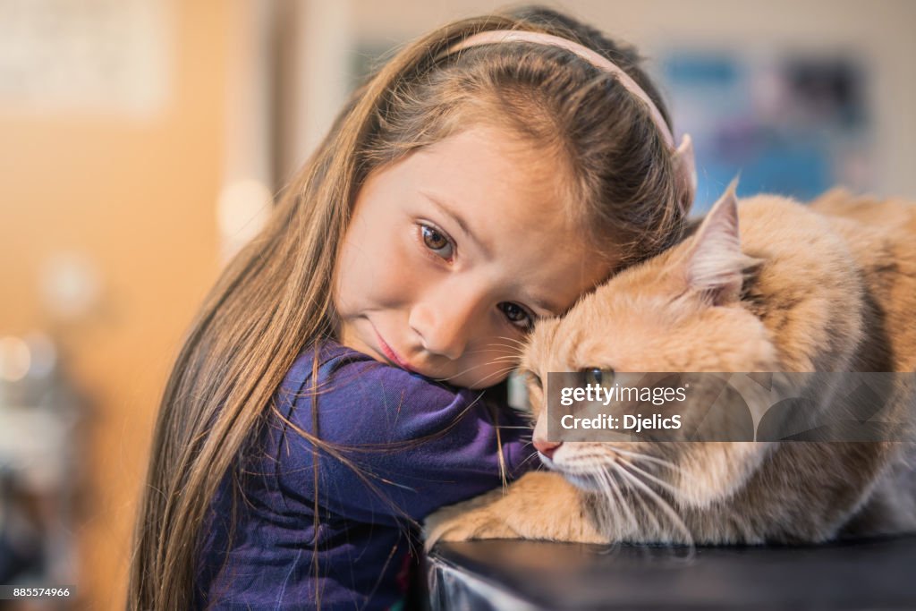 Young girl and her Maine Coon cat on the visit to the vet.