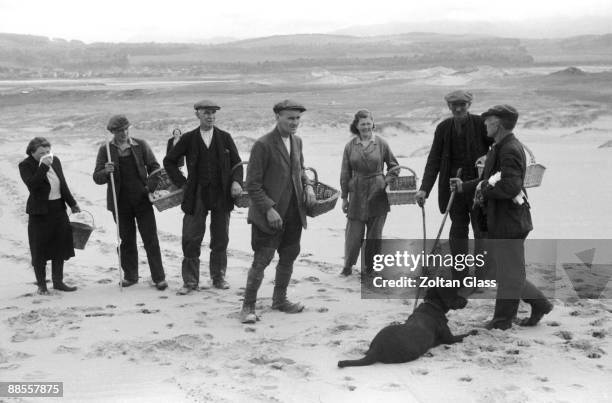 Pickers collecting seagull eggs on a desolate stretch of sand dunes off the Cumbrian Coast, June 1941. Original Publication : Picture Post - 787 -...