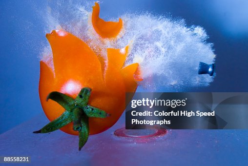 Tomato Explosion Tomato Explosion