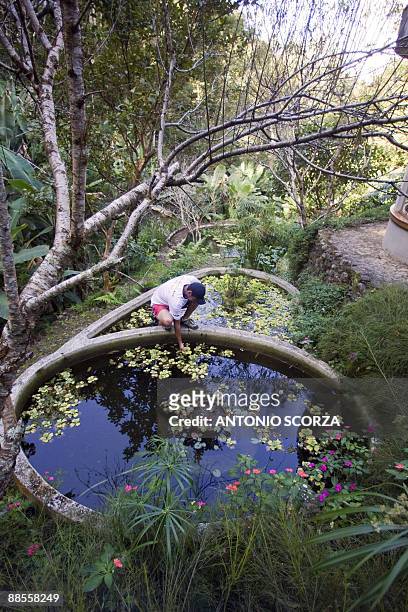 Gardener takes care of the plants in a small lake built over a domestic biodigestor at a residence in Petropolis, 65 km from Rio de Janeiro, Brazil...