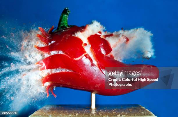 hot lead, hot pepper - food studio shot stock pictures, royalty-free photos & images