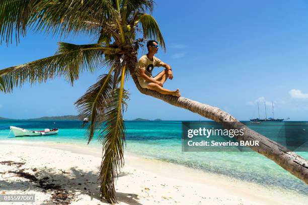 a man sitting on a coconut tree, reserve, tobago cays, saint-vincent and the grenadines, west indies - tobago cays stock pictures, royalty-free photos & images