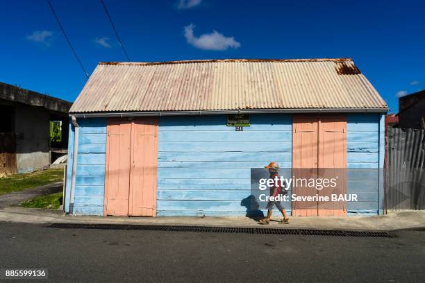 a kid in front of a house pink and blue, saint-louis, marie-galante, guadeloupe, france - guadeloupe stockfoto's en -beelden