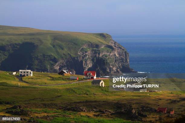 iceland, vestment islands. heimaey. - vestmannaeyjar stock pictures, royalty-free photos & images