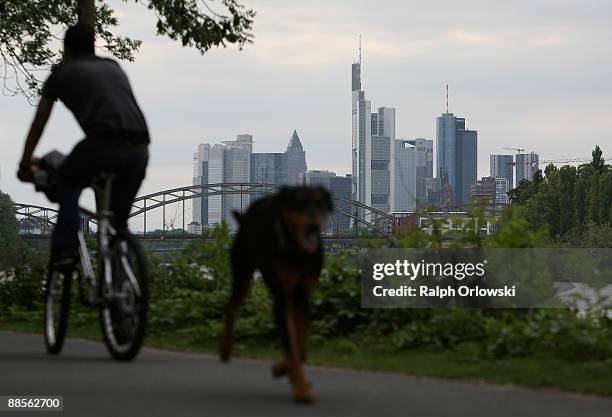 Dog runs in front of Frankfurt skyline on June 18, 2009 in Frankfurt, Germany. The city of Frankfurt, seat of the European Central Bank , the...