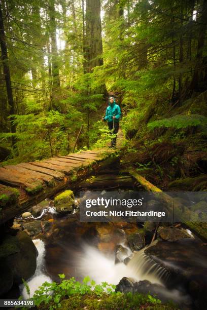 female hiker standing on a bridge over hobbs creek on the west coast trail, pacific rim national park, british columbia, canada - pacific rim national park reserve stock pictures, royalty-free photos & images