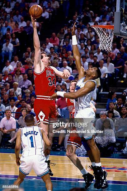 Bill Wennington of the Chicago Bulls goes up for a shot against Alonzo Mourning of the Charlotte Hornets in Game One of the Eastern Conference...