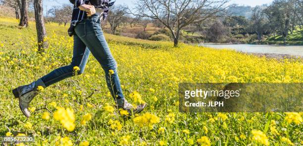 mature woman running through field of wild flowers, low section, paso robles, california, usa - paso robles stockfoto's en -beelden