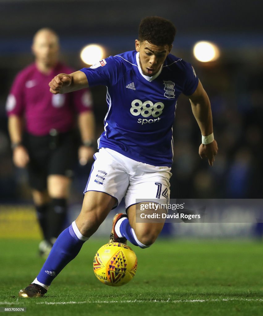 Birmingham City v Wolverhampton Wanderers - Sky Bet Championship