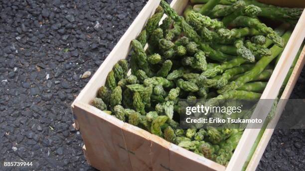 asparagus in a wooden crate - tsukiji market - tsukiji outer market stock pictures, royalty-free photos & images