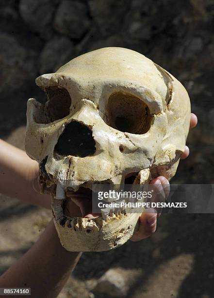This picture shows the skull named Miguelon, estimated to be 400,000 years old and the most complete skull of an Homo heidelbergensis ever found, at...