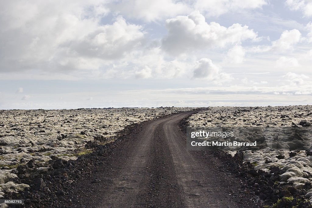 Barren landscape and dirt road