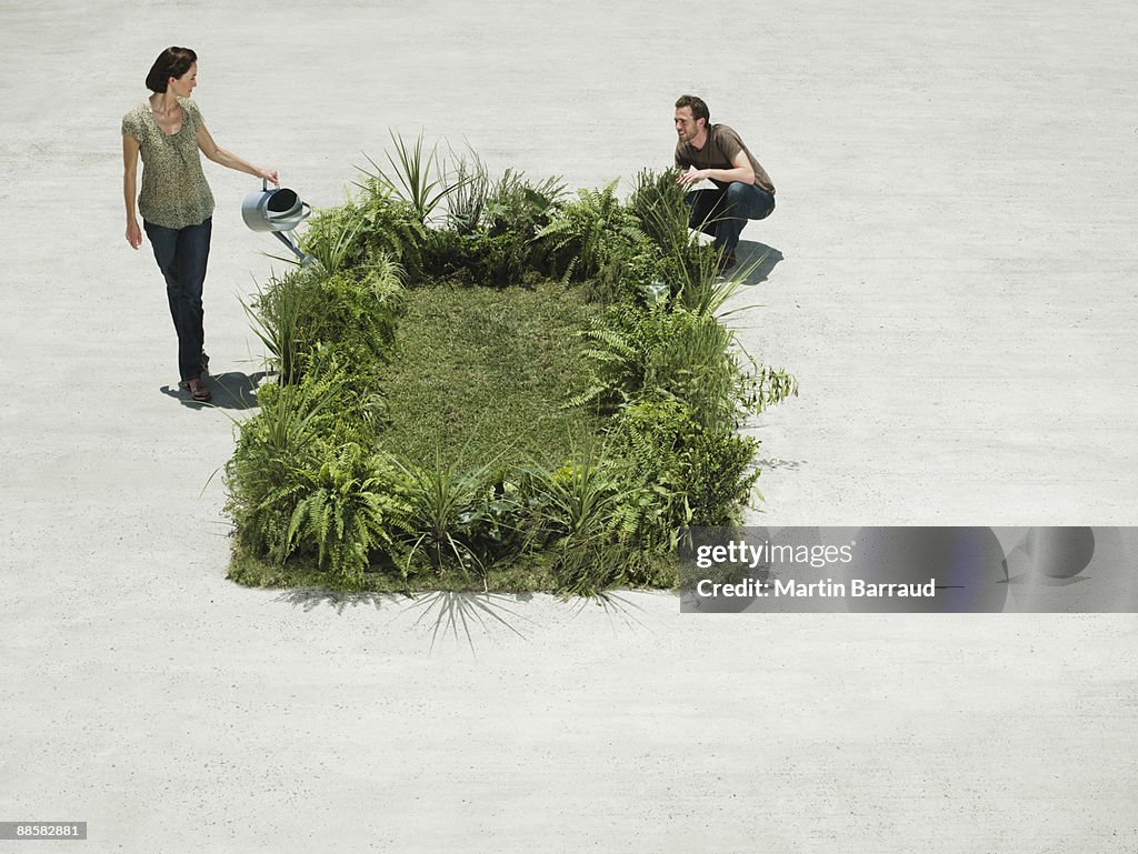 People watering lush lawn in cement courtyard