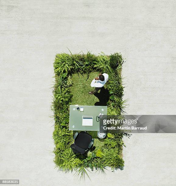 Businessman and desk on lush lawn in cement courtyard