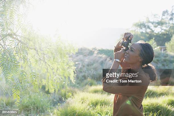 woman photographing nature - digital camera stock pictures, royalty-free photos & images