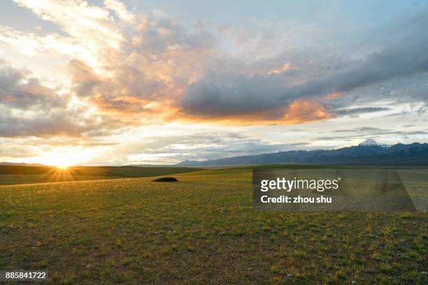 kangrinboqe snowy mountains and  setting sun by the grasslands on the plateau - ali mountains stock-fotos und bilder