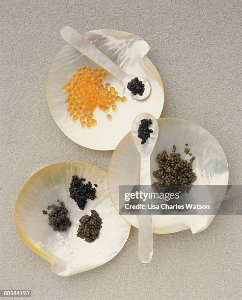 assortment of caviar on mother of pearl - kaviar stock-fotos und bilder