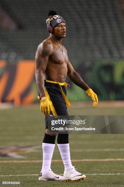 Pittsburgh Steelers inside linebacker Ryan Shazier warms up before the game against the Pittsburgh Steelers and the Cincinnati Bengals on December...