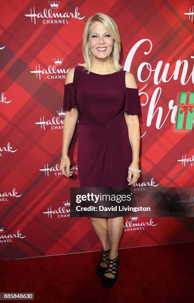 Actress Barbara Niven attends a screening of Hallmark Channel's "Christmas at Holly Lodge" at The Grove on December 4, 2017 in Los Angeles,...