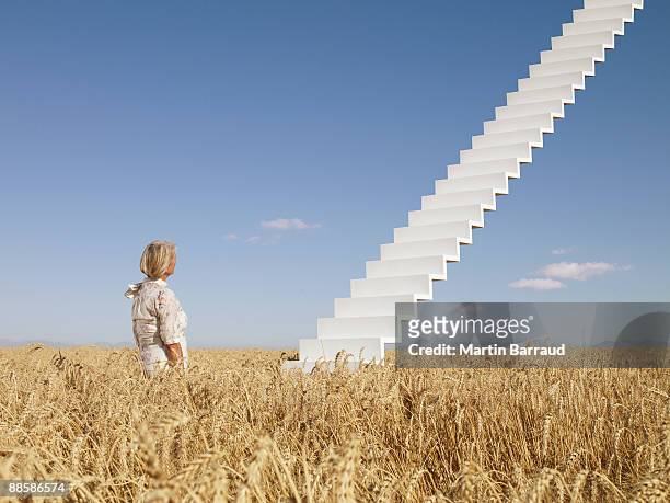 woman looking at stairway to sky in field - durbanville stock pictures, royalty-free photos & images
