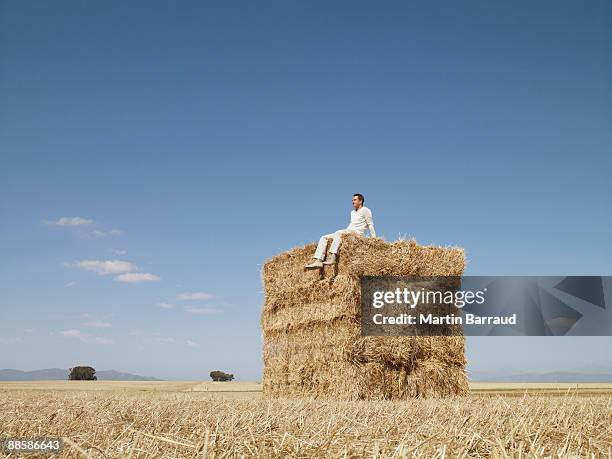 man sitting on stack of hay bales - botte de paille photos et images de collection